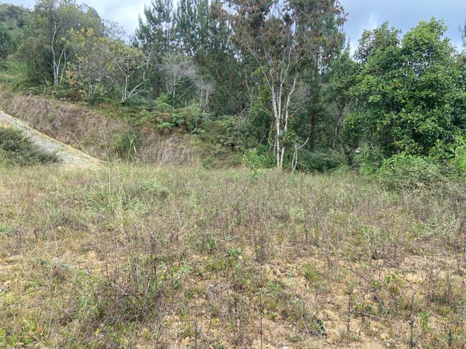 Lote en venta en San Jose, Guarne, 2415 m² · foto 3 de 15