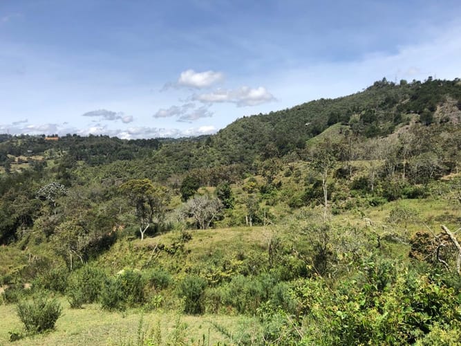 Lote en venta en Sajonia, Rionegro · foto 17 de 24