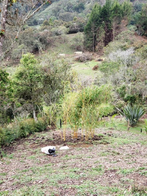 Lote en venta en Sajonia, Rionegro · foto 19 de 24
