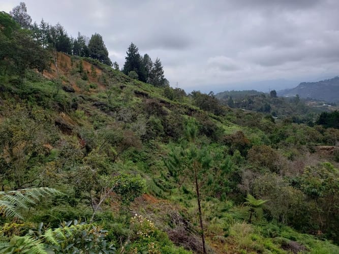 Lote en venta en Sajonia, Rionegro · foto 20 de 24