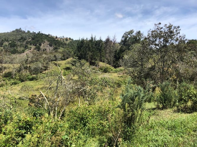 Lote en venta en Sajonia, Rionegro · foto 23 de 24