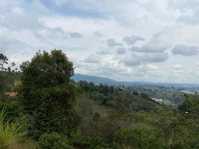 Lote en venta en San Jose, Guarne, 2415 m² · foto 14 de 15