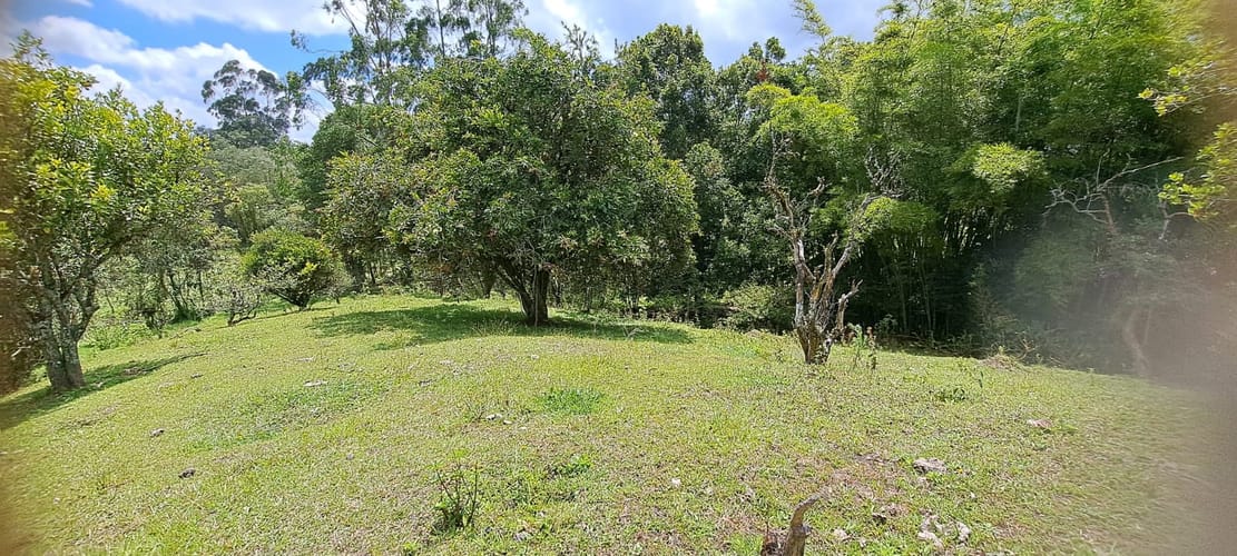 Finca en venta en El Tablazo, Rionegro, 11987 m² · foto 2 de 11