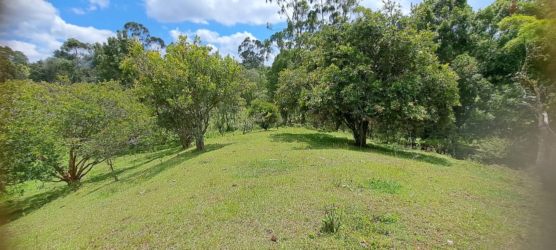 Finca en venta en El Tablazo, Rionegro, 11987 m² · foto 3 de 11