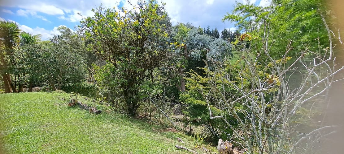 Finca en venta en El Tablazo, Rionegro, 11987 m² · foto 4 de 11