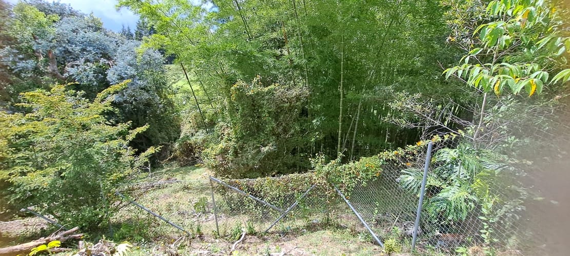 Finca en venta en El Tablazo, Rionegro, 11987 m² · foto 6 de 11