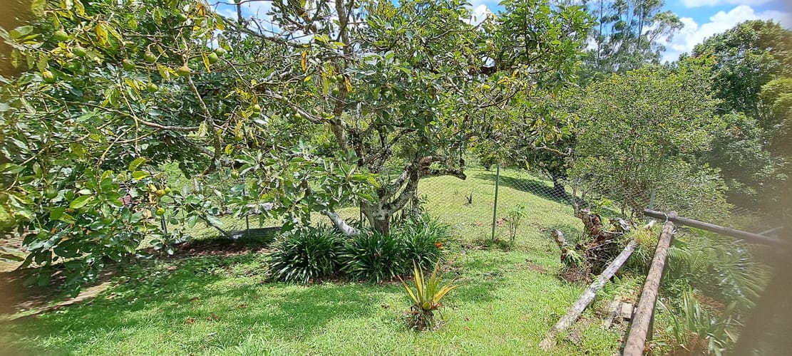 Finca en venta en El Tablazo, Rionegro, 11987 m² · foto 7 de 11