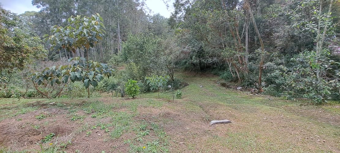 Lote en venta en El Tablazo, Rionegro, 22400 m² · foto 4 de 12