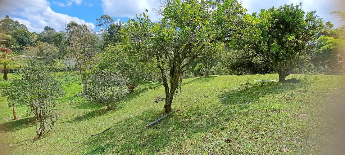 Finca en venta en El Tablazo, Rionegro, 11987 m² · foto 8 de 11