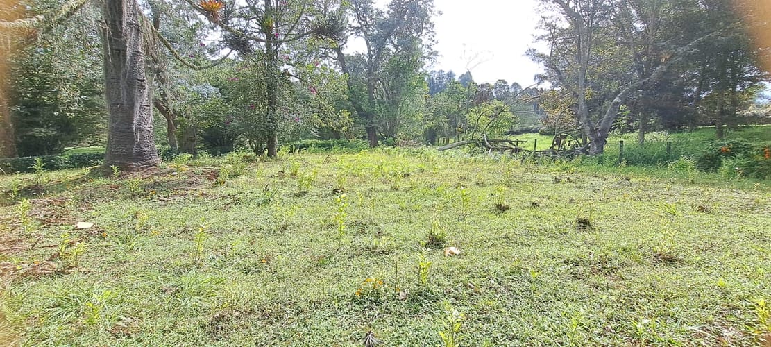 Lote en venta en El Tablazo, Rionegro, 22400 m² · foto 5 de 12