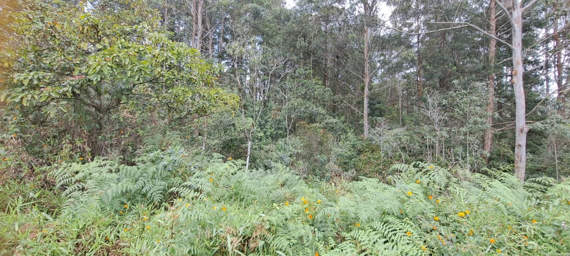 Lote en venta en El Tablazo, Rionegro, 22400 m² · foto 7 de 12