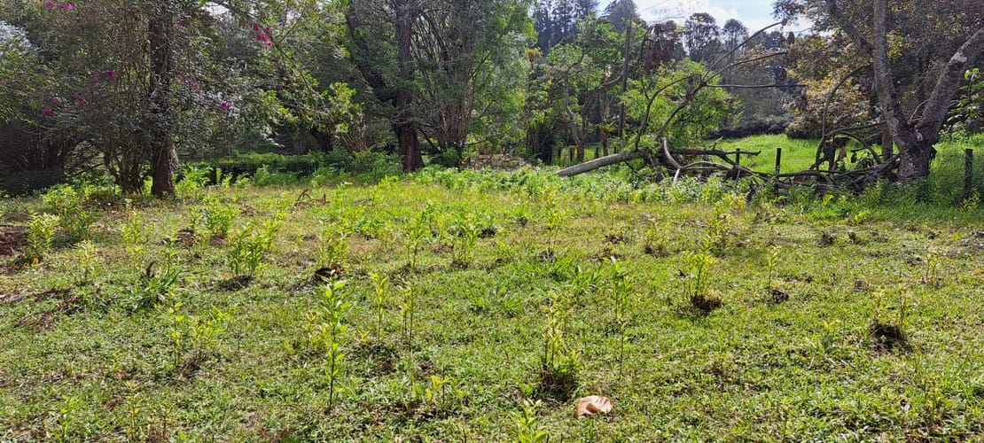 Lote en venta en El Tablazo, Rionegro, 22400 m² · foto 8 de 12