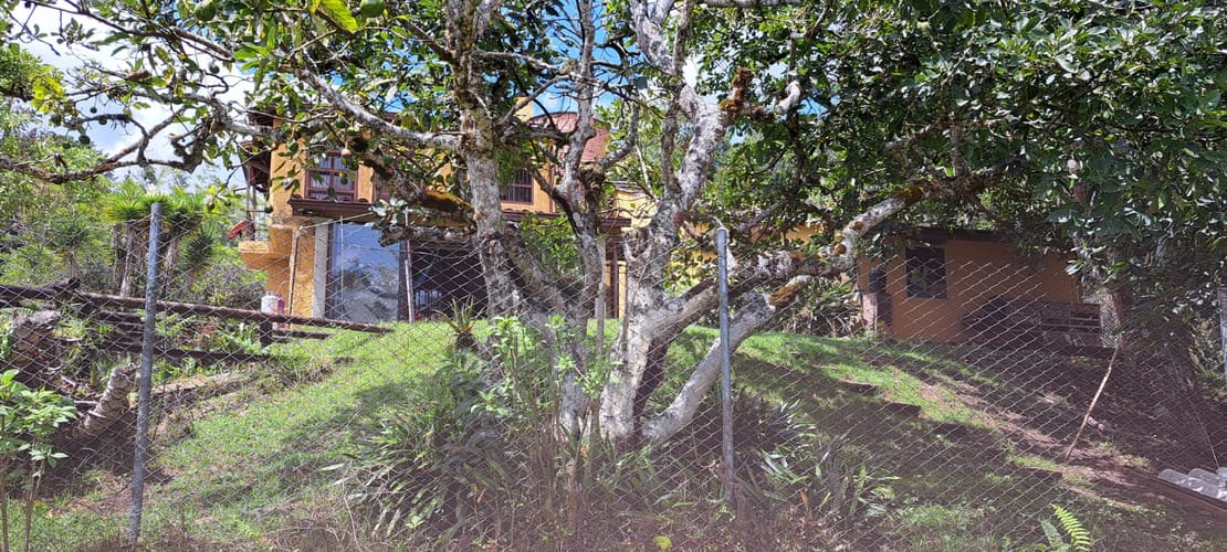 Finca en venta en El Tablazo, Rionegro, 11987 m² · foto 11 de 11