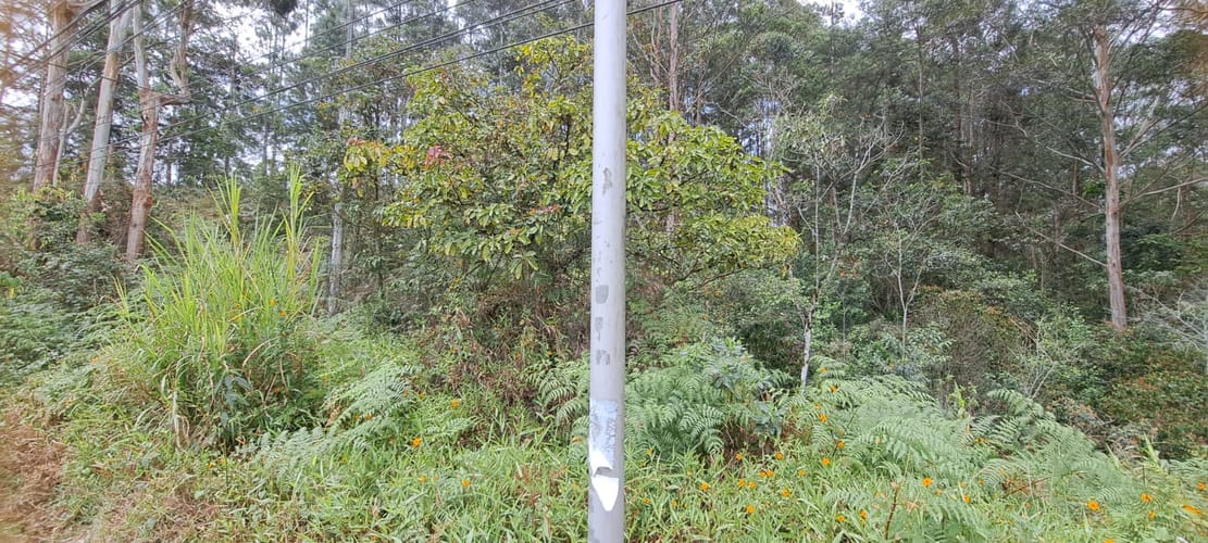 Lote en venta en El Tablazo, Rionegro, 22400 m² · foto 9 de 12