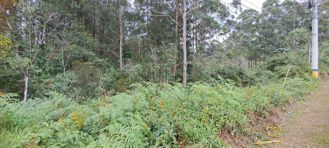 Lote en venta en El Tablazo, Rionegro, 22400 m² · foto 11 de 12