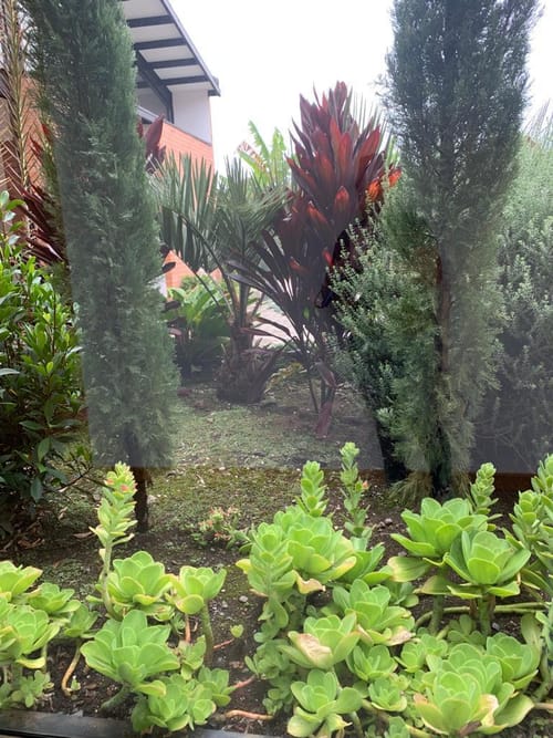 Casa de 4 alcobas en venta en Guamito, La Ceja · foto 23 de 24