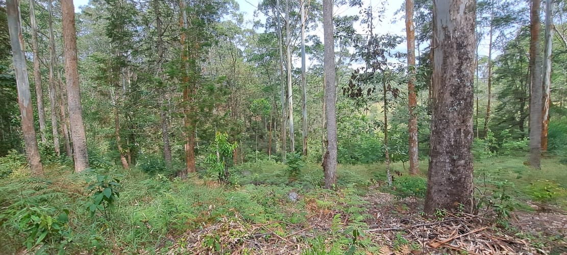 Lote en venta en Llano Grande, Rionegro, 32613 m² · foto 2 de 24