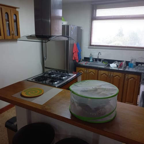Casa de 3 alcobas en venta en Las Garzonas, Marinilla · foto 17 de 24