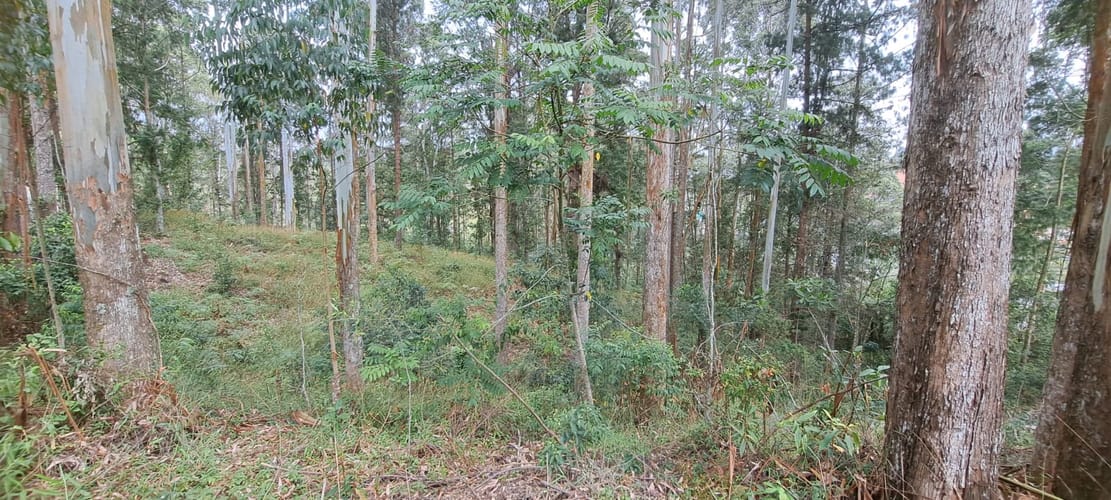 Lote en venta en Llano Grande, Rionegro, 32613 m² · foto 3 de 24