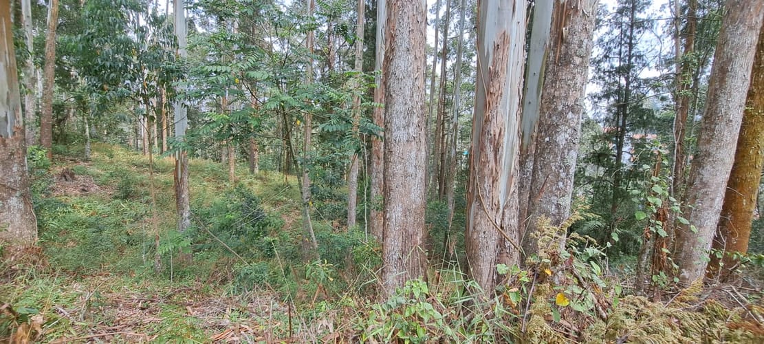 Lote en venta en Llano Grande, Rionegro, 32613 m² · foto 4 de 24