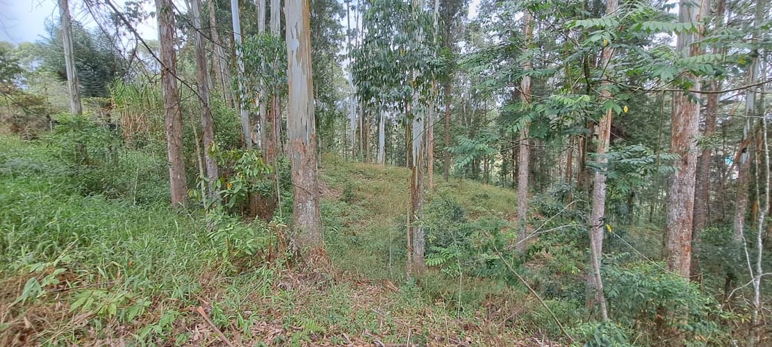 Lote en venta en Llano Grande, Rionegro, 32613 m² · foto 5 de 24