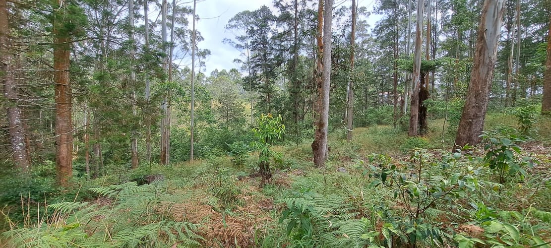 Lote en venta en Llano Grande, Rionegro, 32613 m² · foto 6 de 24