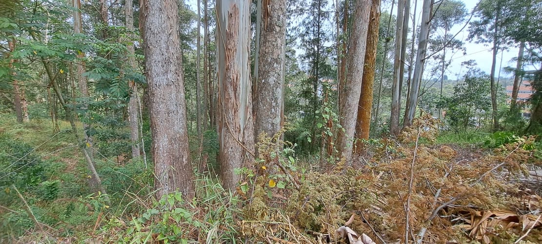 Lote en venta en Llano Grande, Rionegro, 32613 m² · foto 7 de 24