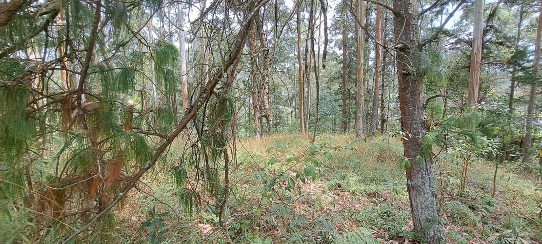 Lote en venta en Llano Grande, Rionegro, 32613 m² · foto 8 de 24