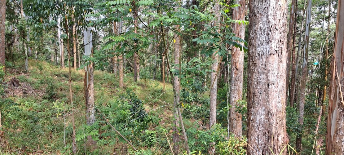 Lote en venta en Llano Grande, Rionegro, 32613 m² · foto 9 de 24