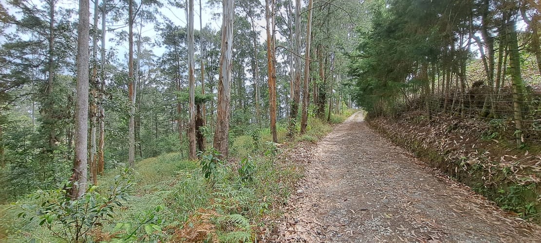 Lote en venta en Llano Grande, Rionegro, 32613 m² · foto 10 de 24