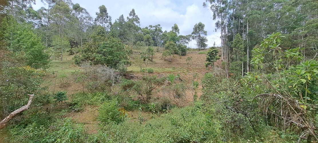 Lote en venta en Llano Grande, Rionegro, 32613 m² · foto 11 de 24