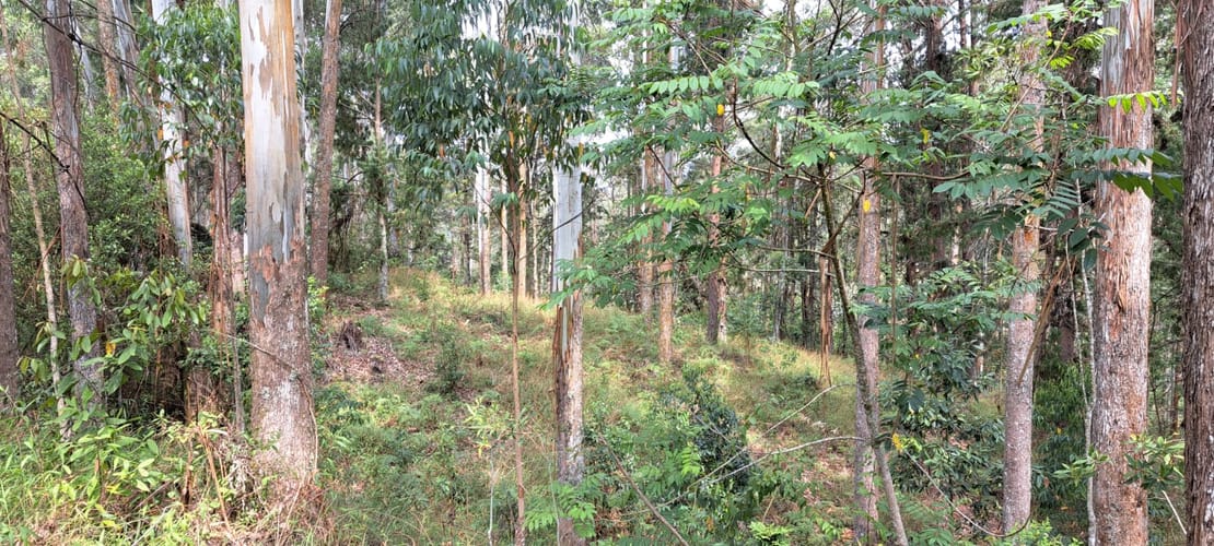 Lote en venta en Llano Grande, Rionegro, 32613 m² · foto 12 de 24