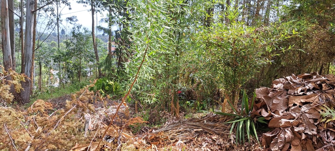 Lote en venta en Llano Grande, Rionegro, 32613 m² · foto 14 de 24