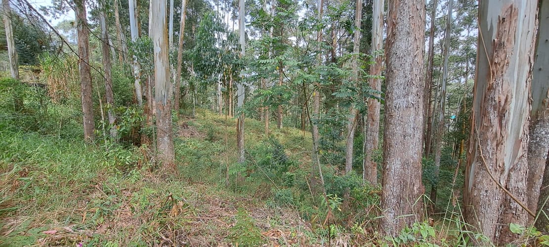 Lote en venta en Llano Grande, Rionegro, 32613 m² · foto 15 de 24