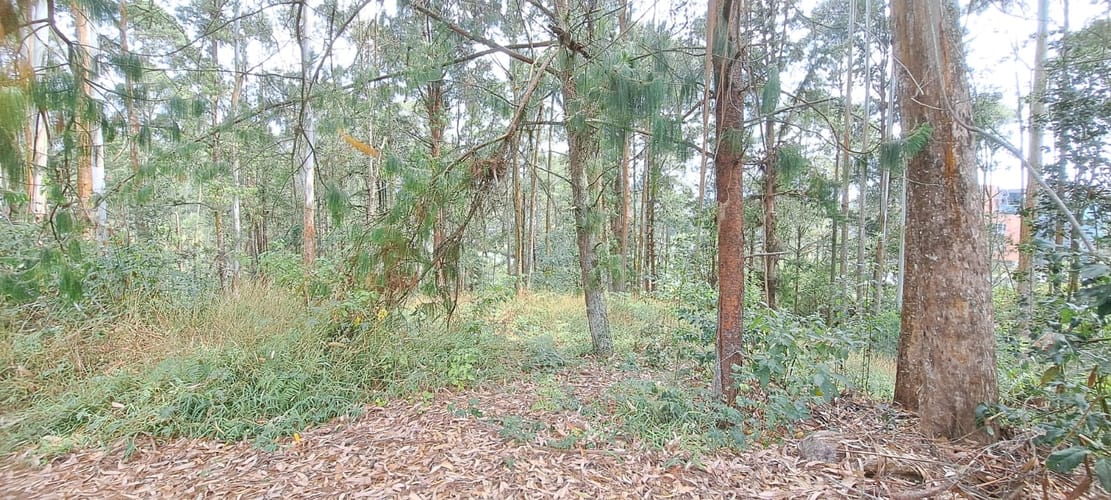 Lote en venta en Llano Grande, Rionegro, 32613 m² · foto 16 de 24
