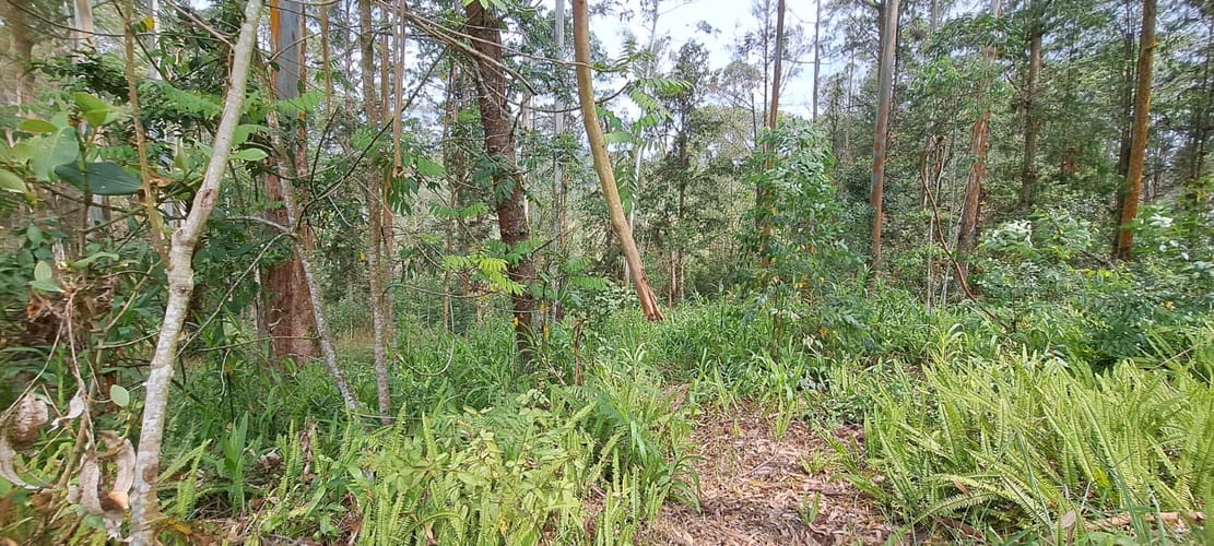 Lote en venta en Llano Grande, Rionegro, 32613 m² · foto 17 de 24