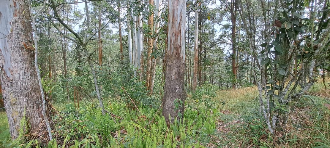 Lote en venta en Llano Grande, Rionegro, 32613 m² · foto 19 de 24