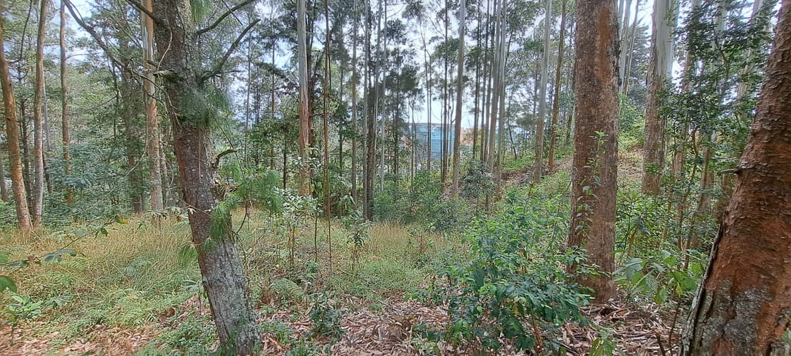 Lote en venta en Llano Grande, Rionegro, 32613 m² · foto 20 de 24
