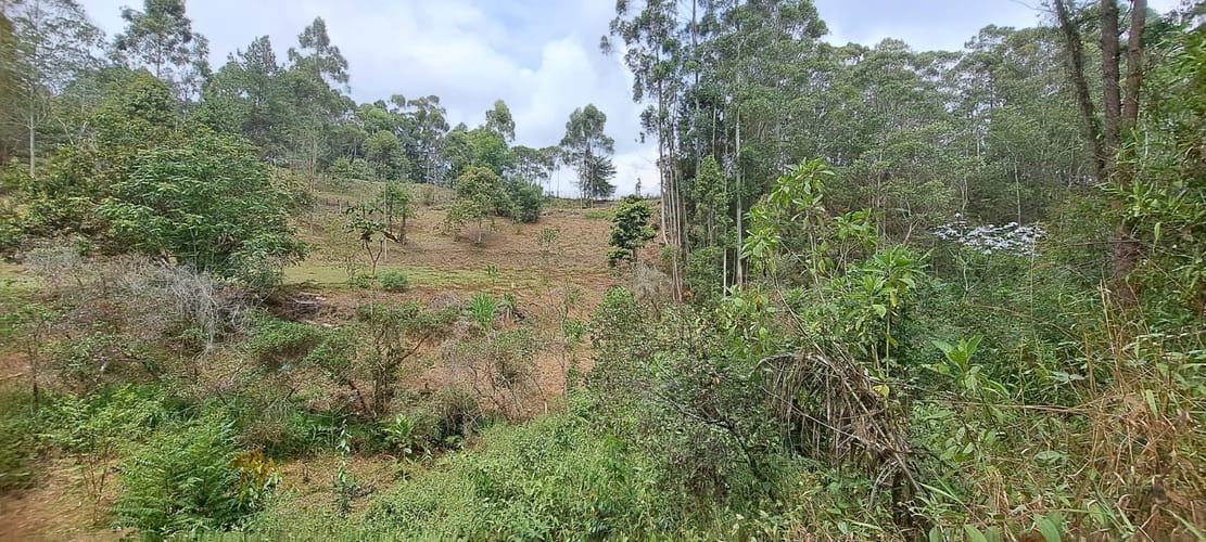 Lote en venta en Llano Grande, Rionegro, 32613 m² · foto 21 de 24