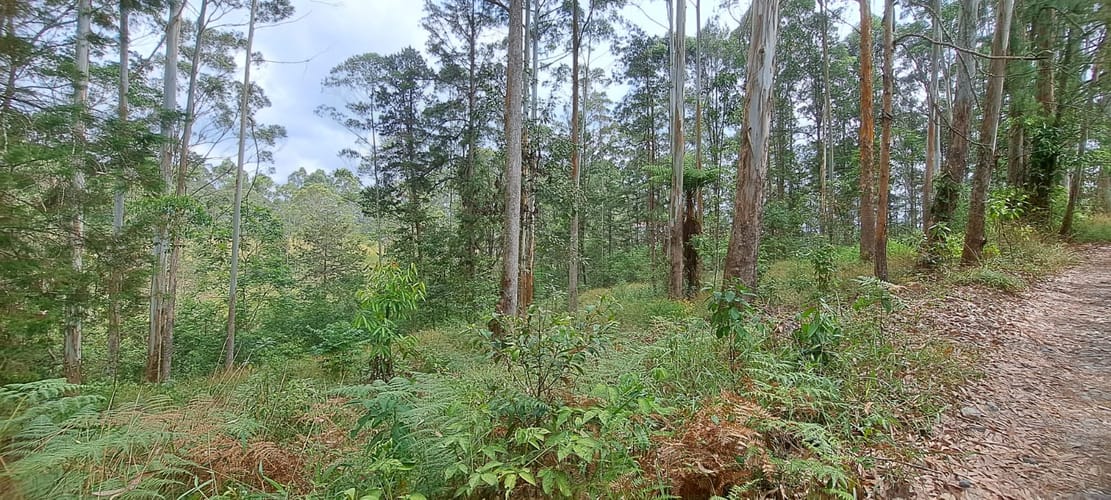 Lote en venta en Llano Grande, Rionegro, 32613 m² · foto 22 de 24
