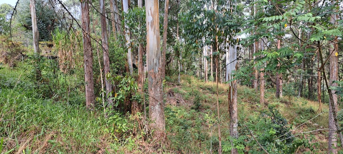 Lote en venta en Llano Grande, Rionegro, 32613 m² · foto 23 de 24