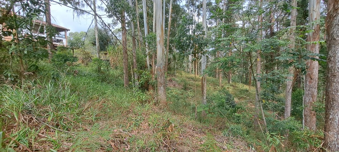 Lote en venta en Llano Grande, Rionegro, 32613 m² · foto 24 de 24
