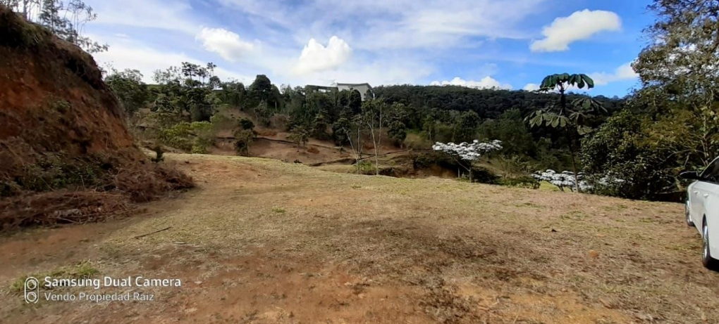 Land in Los salados for Sale