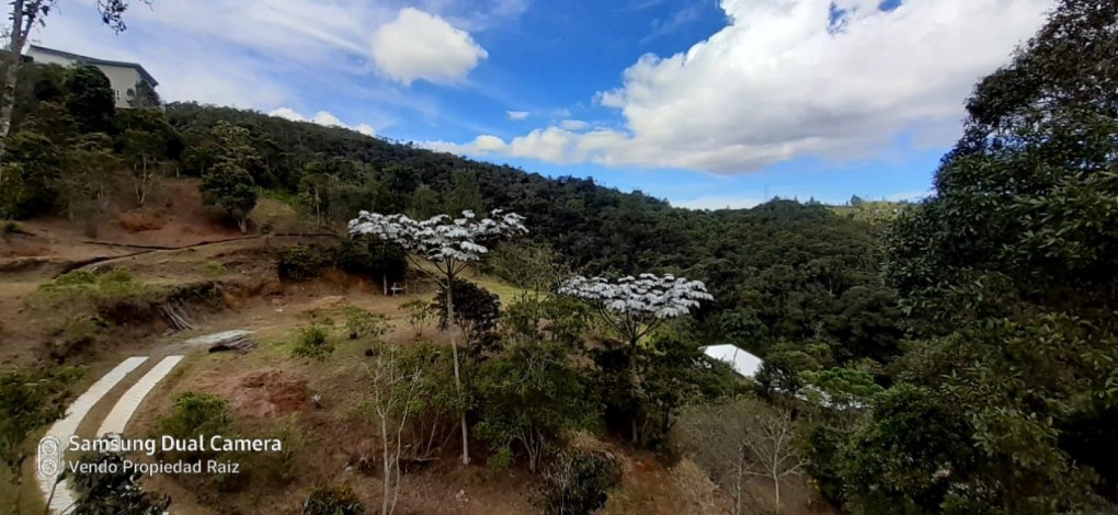 Land in Los salados for Sale - 2