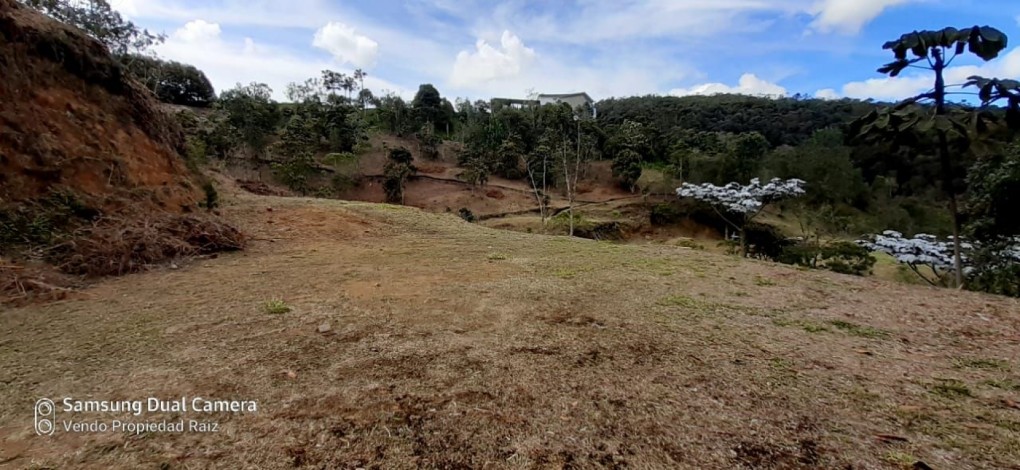 Land in Los salados for Sale - 3