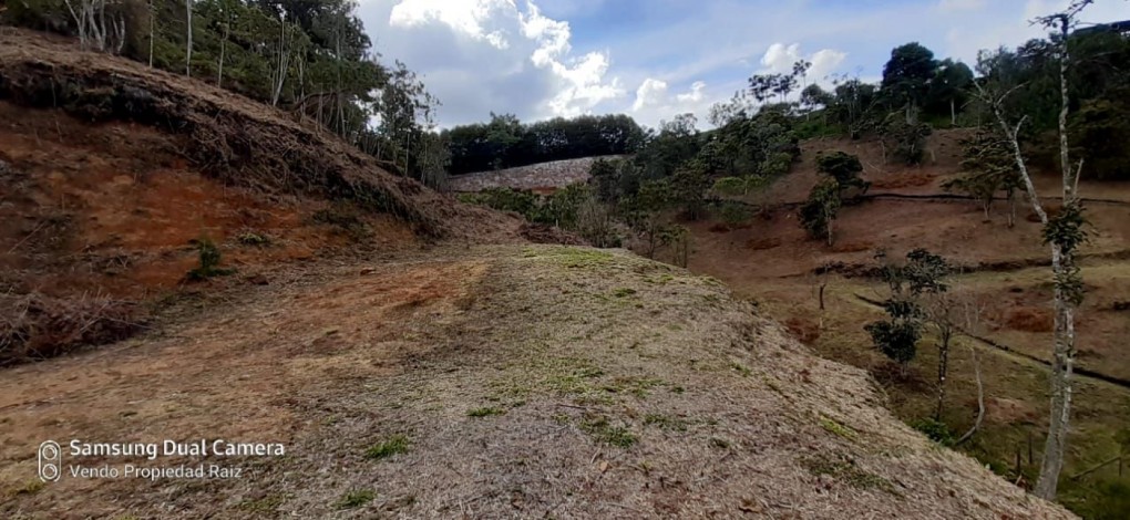 Land in Los salados for Sale - 4