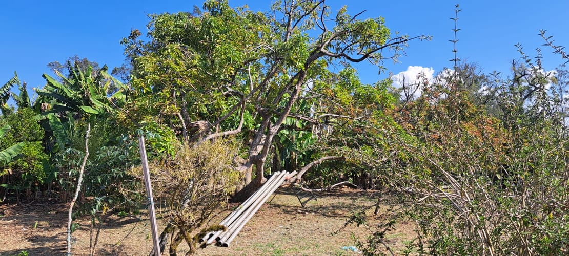 Lote en venta en El Porvenir, Rionegro, 4602 m² · foto 4 de 11
