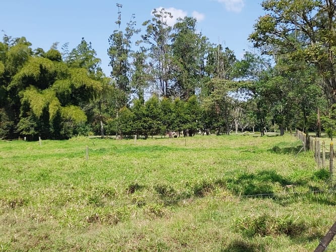 Lote en venta en El Porvenir, Rionegro, 4602 m² · foto 5 de 11