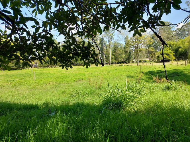 Lote en venta en El Porvenir, Rionegro, 4602 m² · foto 6 de 11