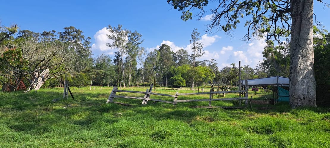 Lote en venta en El Porvenir, Rionegro, 4602 m² · foto 7 de 11